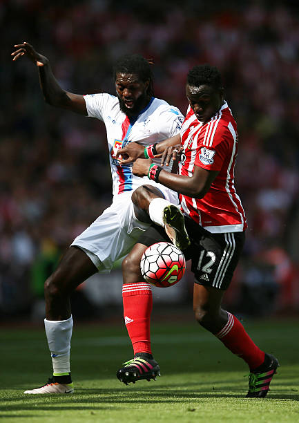 球迷观赛体 球迷观赛体